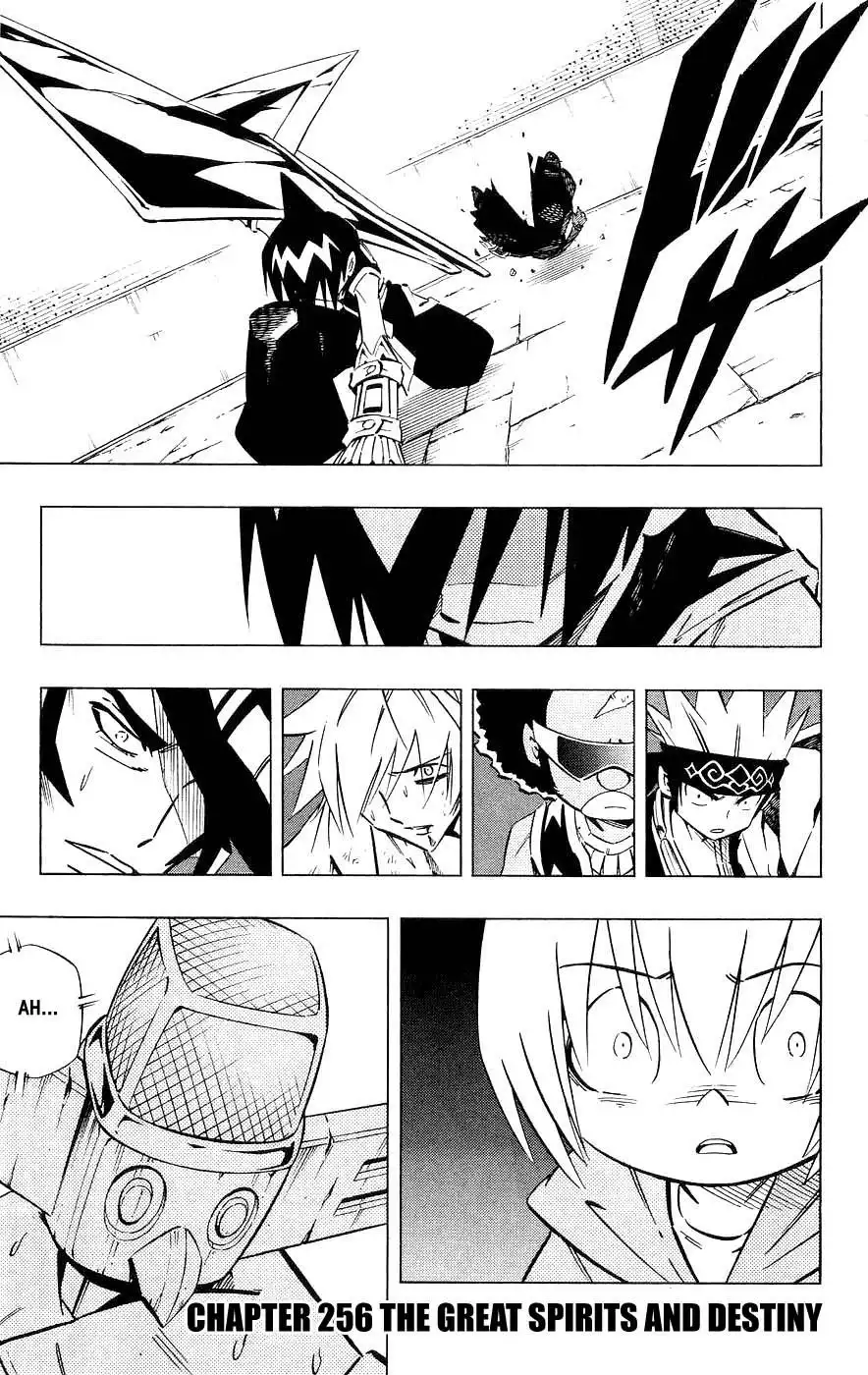 Shaman King Chapter 256 1